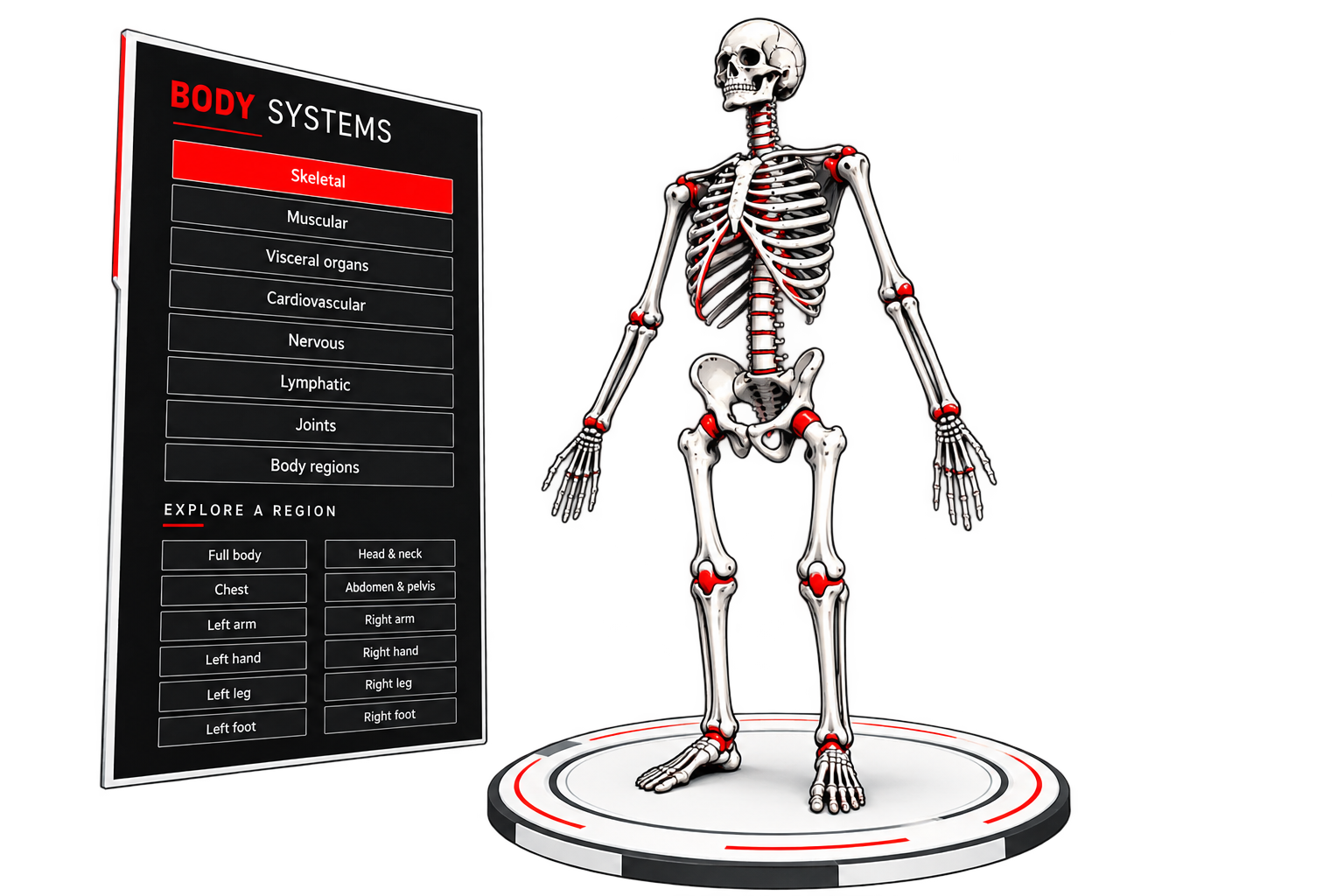 Illustrazione di Anatomy Lab